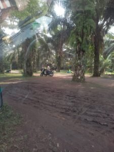 Dugaan Lokasi Penjualan Sabu-sabu