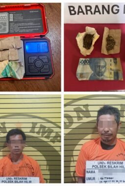 Polsek Bilah Hilir Ungkap Peredaran Ganja, Dua Pria Diamankan
